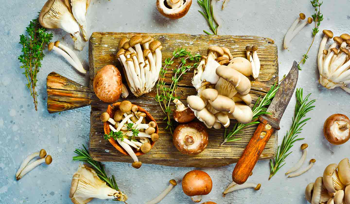 Fonte de Proteína Vegetal